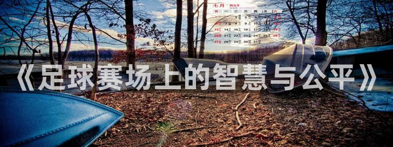 《足球赛场上的智慧与公平》