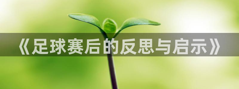 《足球赛后的反思与启示》