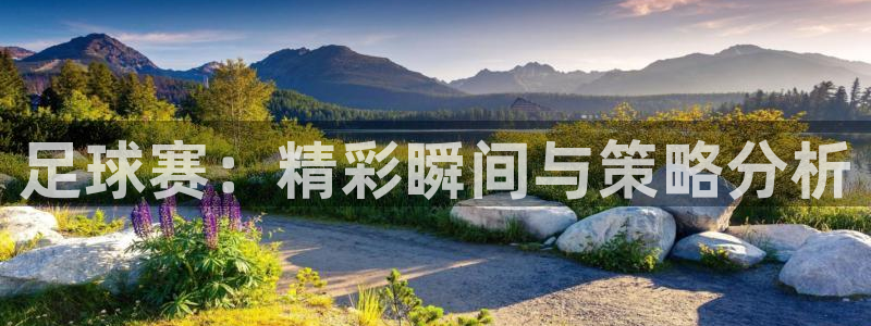  足球赛：精彩瞬间与策略分析
