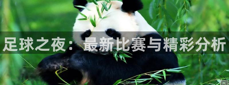  足球之夜：最新比赛与精彩分析