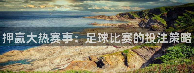  押赢大热赛事：足球比赛的投注策略