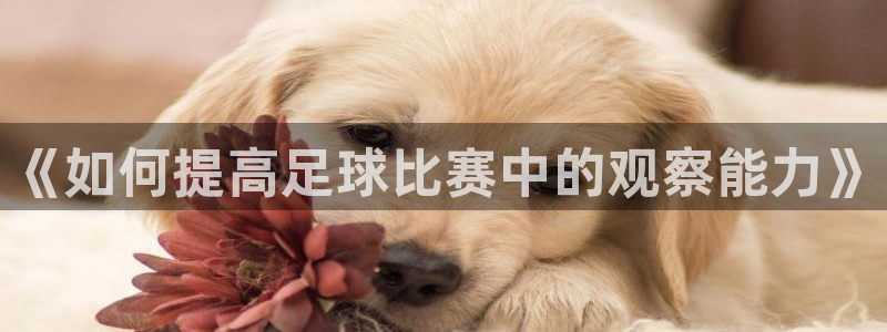 《如何提高足球比赛中的观察能力》