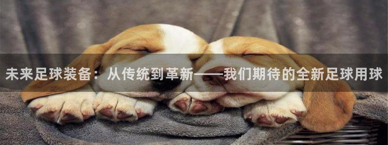  未来足球装备：从传统到革新——我们期待的全新足球用球
