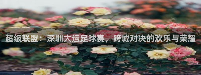 超级联盟：深圳大运足球赛，跨城对决的欢乐与荣耀