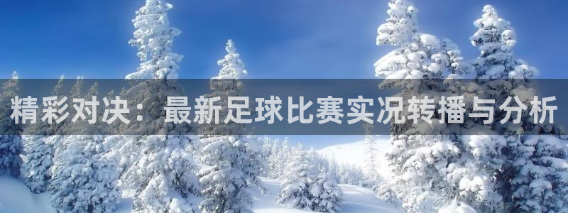  精彩对决：最新足球比赛实况转播与分析