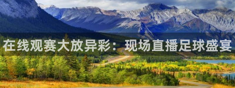在线观赛大放异彩：现场直播足球盛宴
