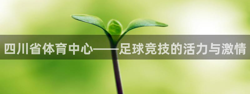  四川省体育中心——足球竞技的活力与激情