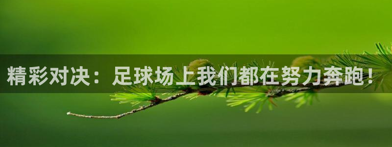 精彩对决：足球场上我们都在努力奔跑！