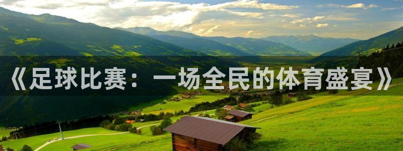 《足球比赛：一场全民的体育盛宴》