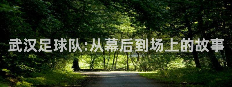 武汉足球队:从幕后到场上的故事
