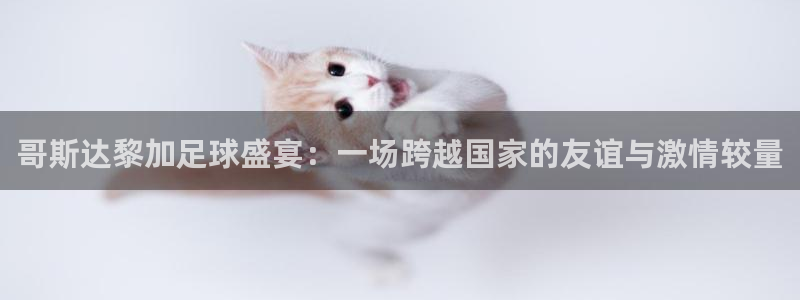 哥斯达黎加足球盛宴：一场跨越国家的友