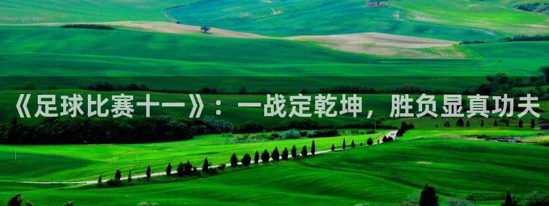 《足球比赛十一》：一战定乾坤，胜负显