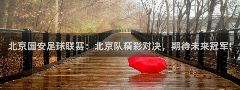 北京国安足球联赛：北京队精彩对决，期