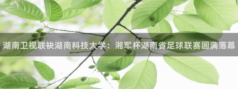 湖南卫视联袂湖南科技大学：湘军杯湖南