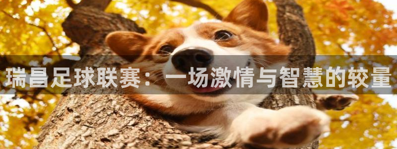瑞昌足球联赛：一场激情与智慧的较量