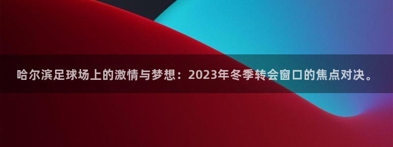 哈尔滨足球场上的激情与梦想：2023