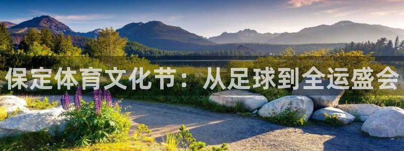 保定体育文化节：从足球到全运盛会