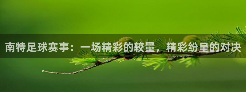南特足球赛事：一场精彩的较量，精彩纷