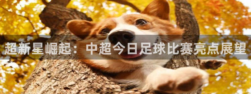 超新星崛起：中超今日足球比赛亮点展望