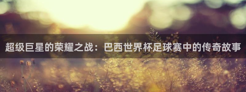 超级巨星的荣耀之战：巴西世界杯足球赛