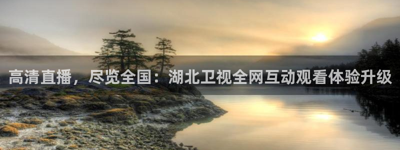 新球体育比分网：高清直播，尽览全国：湖北卫视全网互动观看体验升级
