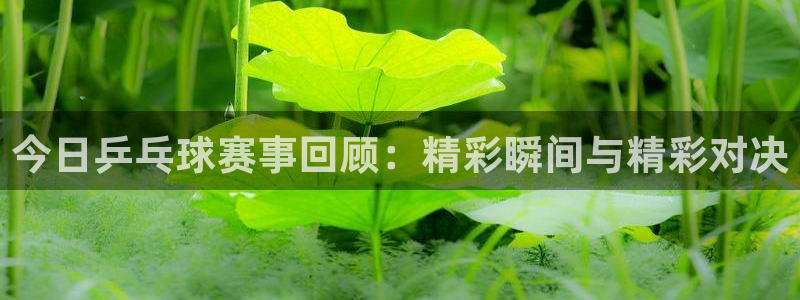 新球体育足球官网：今日乒乓球赛事回顾：精彩瞬间与精彩对决