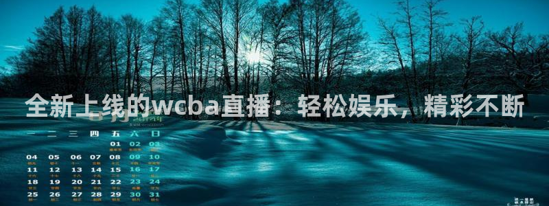 新球足球直播：全新上线的wcba直播：轻松娱乐，精彩不断