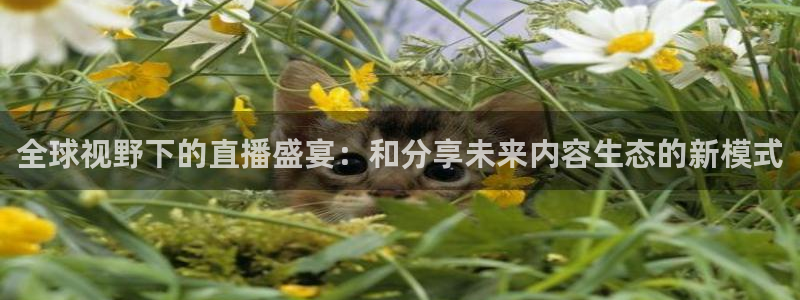 新球直播：全球视野下的直播盛宴：和分享未来内容生态的新模式