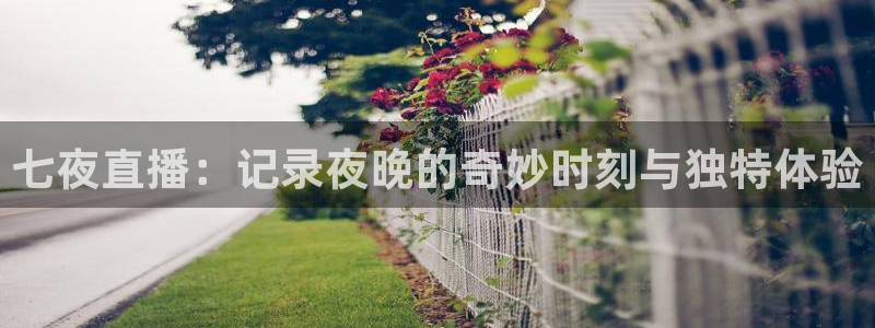 新球体育即时分：七夜直播：记录夜晚的奇妙时刻与独特体验