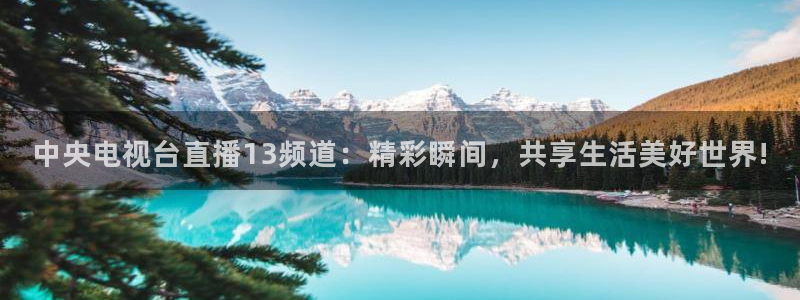 新球体育网球比分
