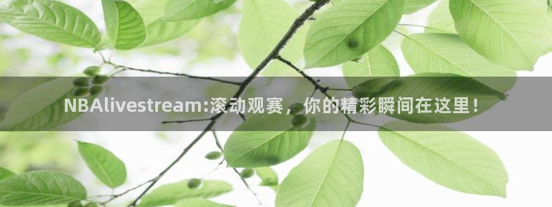 新球体育完整版