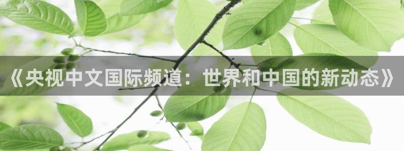 新球体育直播：《央视中文国际频道：世界和中国的新动态》
