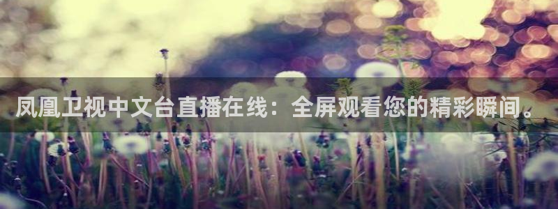 新球体育比分：凤凰卫视中文台直播在线：全屏观看您的精彩瞬间。