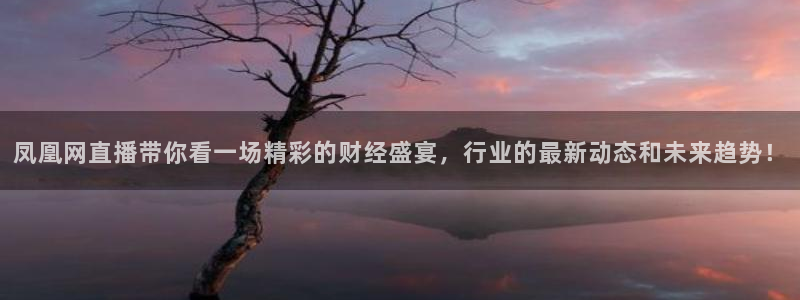新球体育即时分：凤凰网直播带你看一场精彩的财经盛宴，行业的最新动态和未来趋势！