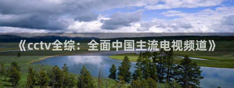 新体球即时比分新球体育：《cctv全综：全面中国主流电视频道》