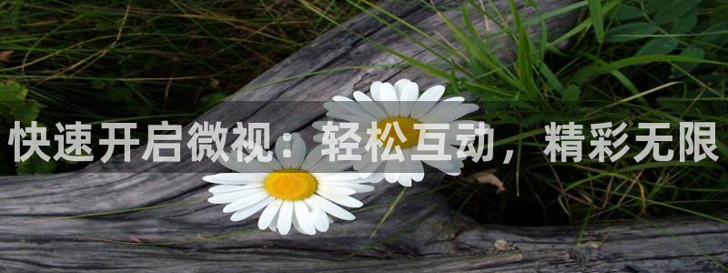 新球体育足球比分：快速开启微视：轻松互动，精彩无限